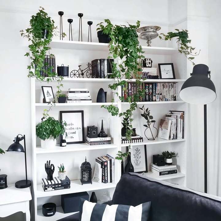 Chic Bookshelf Vibes